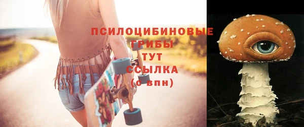 мет Коряжма
