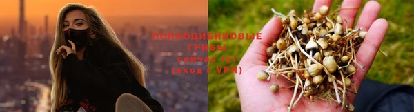 стафф Костерёво
