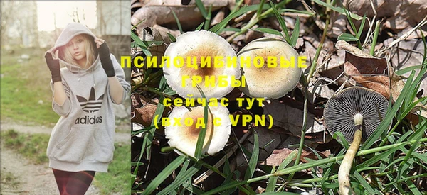 стафф Костерёво