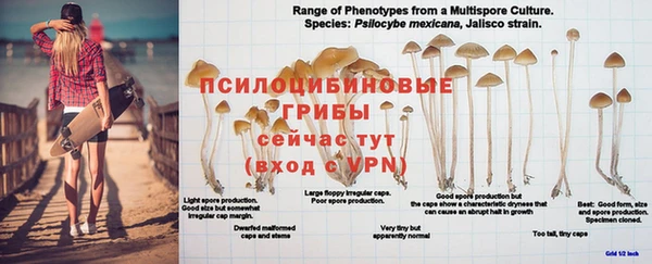 мет Коряжма