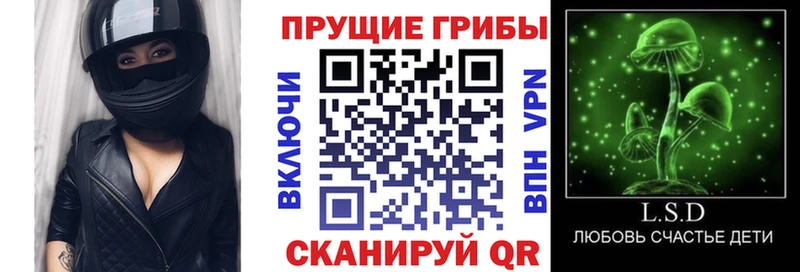Галлюциногенные грибы Cubensis  наркотики  Яхрома 